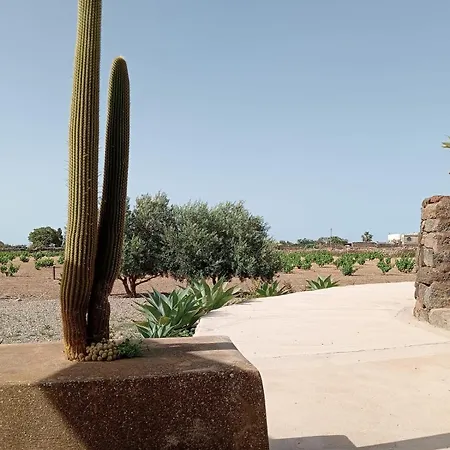 Holiday home Dammuso Le Vigne Pantelleria