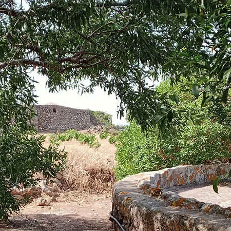 Dammuso Le Vigne